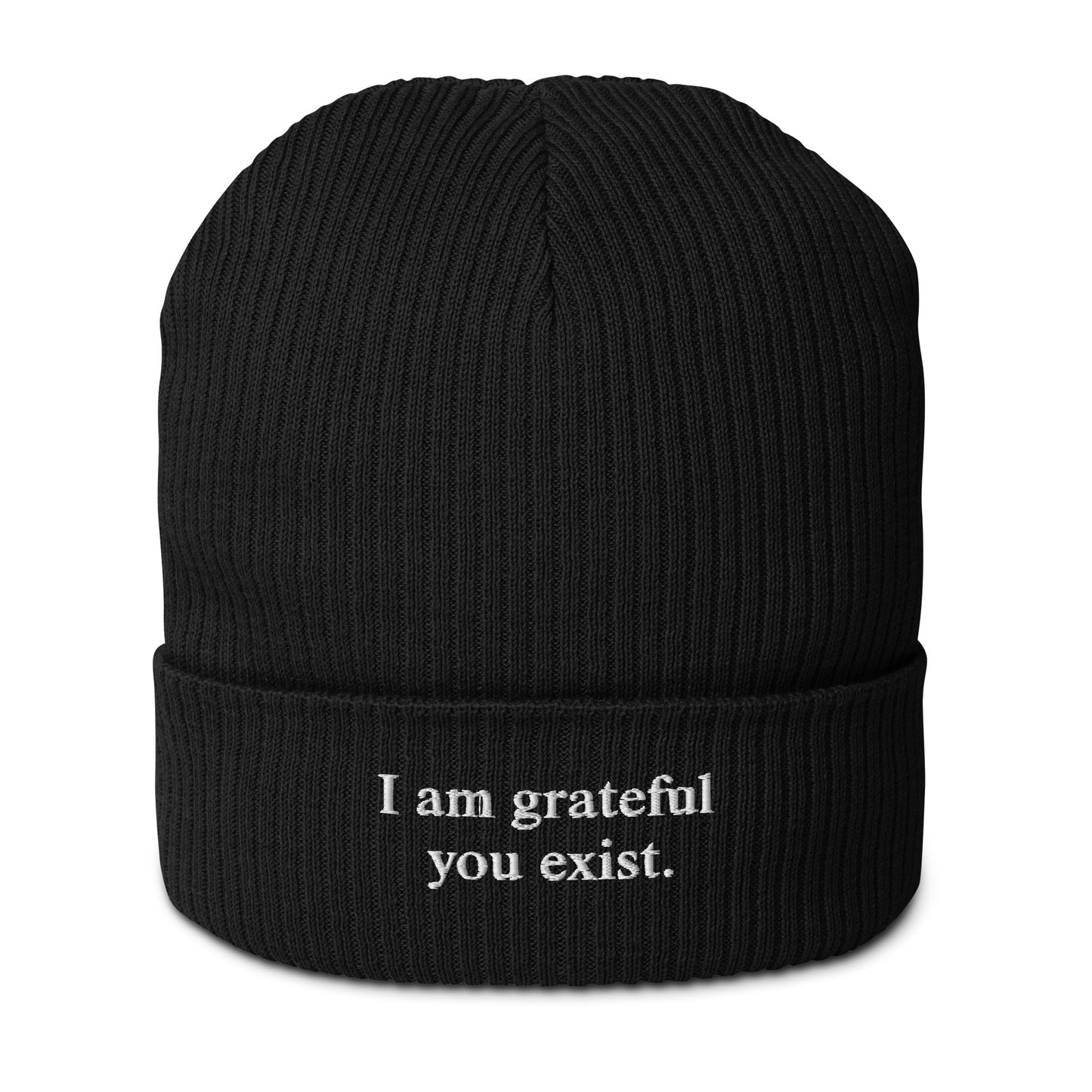 I am grateful you exist - Organic Ribbed Beanie